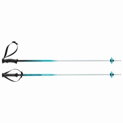Head hole Supershape Team  24/25 